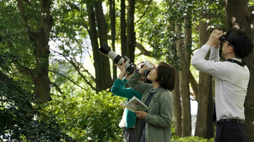 キヤノン　「下丸子の森」での野鳥観測